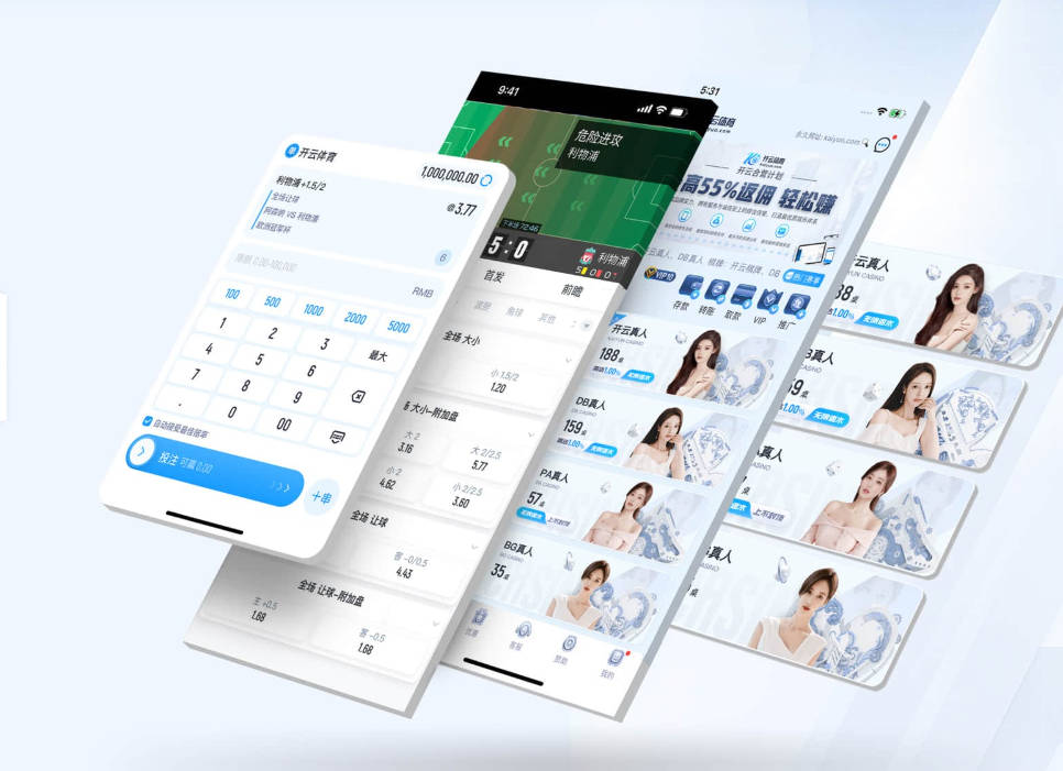 快速识别!大小单双赚钱平台app下载人人网（HarmonyOS6）